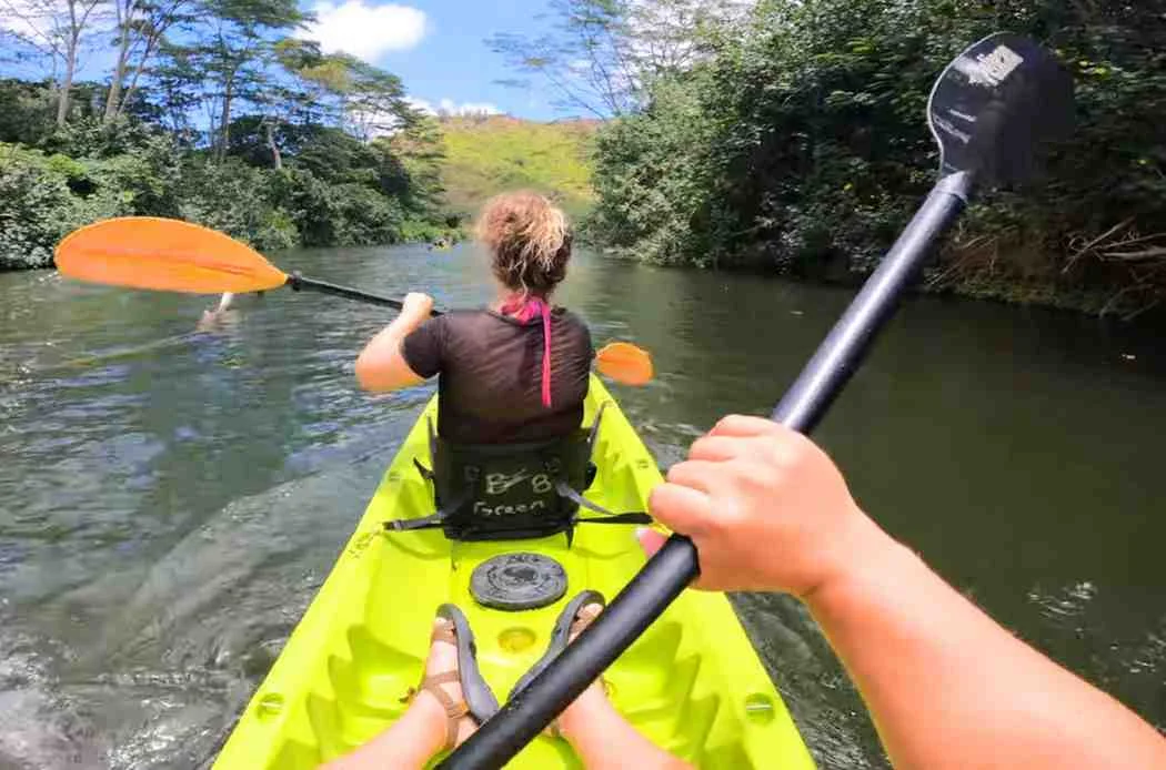 Viewing Nature from A boat at East Side of Kauai