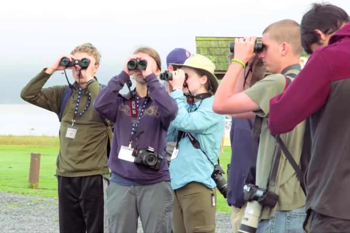 Kauai Birding: Explore Top Trails And Best Birding Spots % People enjoying Kauai birding