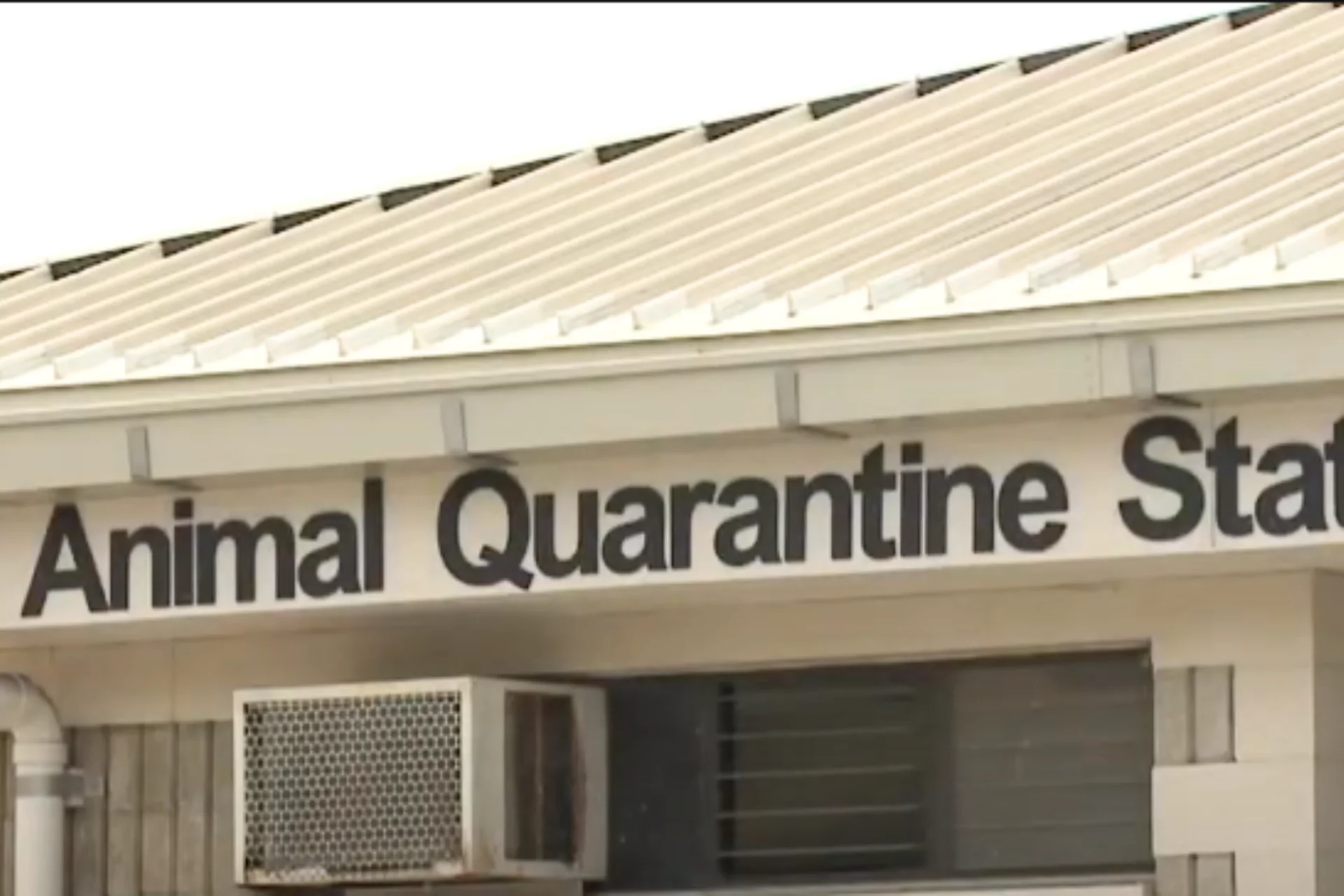 Bringing Pets To Hawaii Rules in 2025 | Requirements for Dog Quarantine % The Animal Quarantine Branch, Department of Agriculture Hawaii