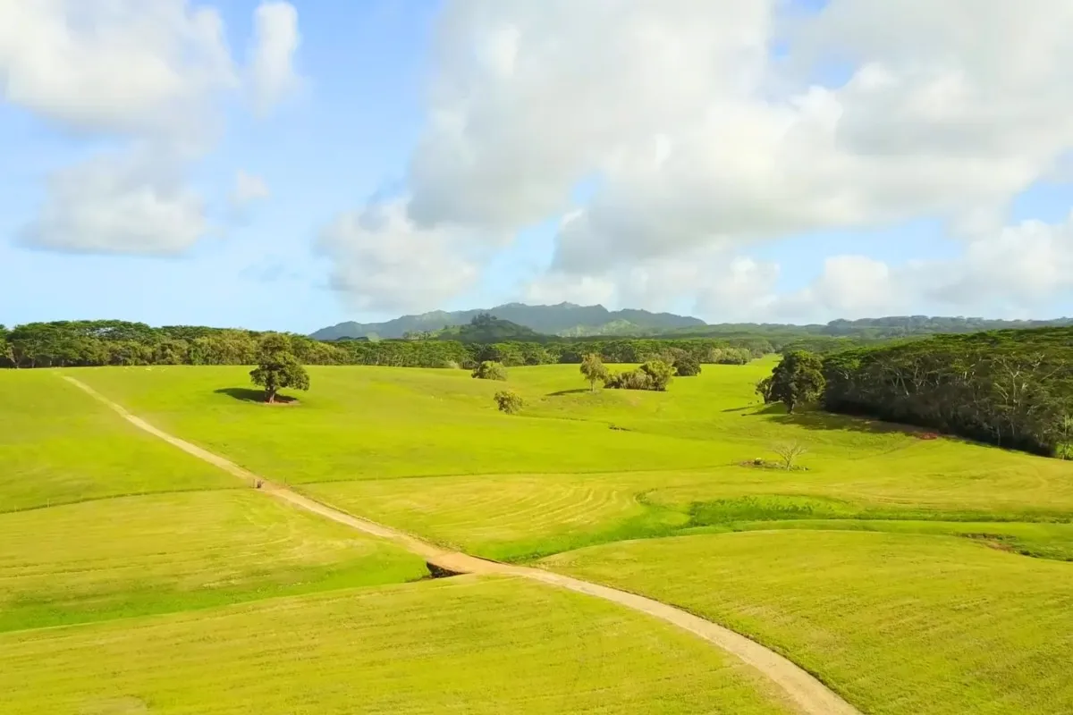 Kauai Jurassic Park: Top 7 Filming Locations to Visit in Kauai Hawaii % Jurassic Kahili Ranch Spotting the Dinosaur Herd Kilaueaon the North Side