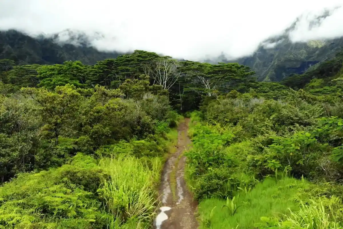 Kauai Jurassic Park: Top 7 Filming Locations to Visit in Kauai Hawaii % Kauai Jurassic Park