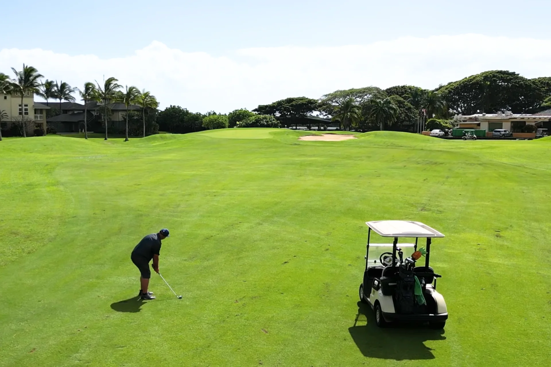 Top 7 Kauai Golf Courses: Complete Guide & Analysis % Kiahuna Golf Club: Most beautiful among Kauai Golf Courses