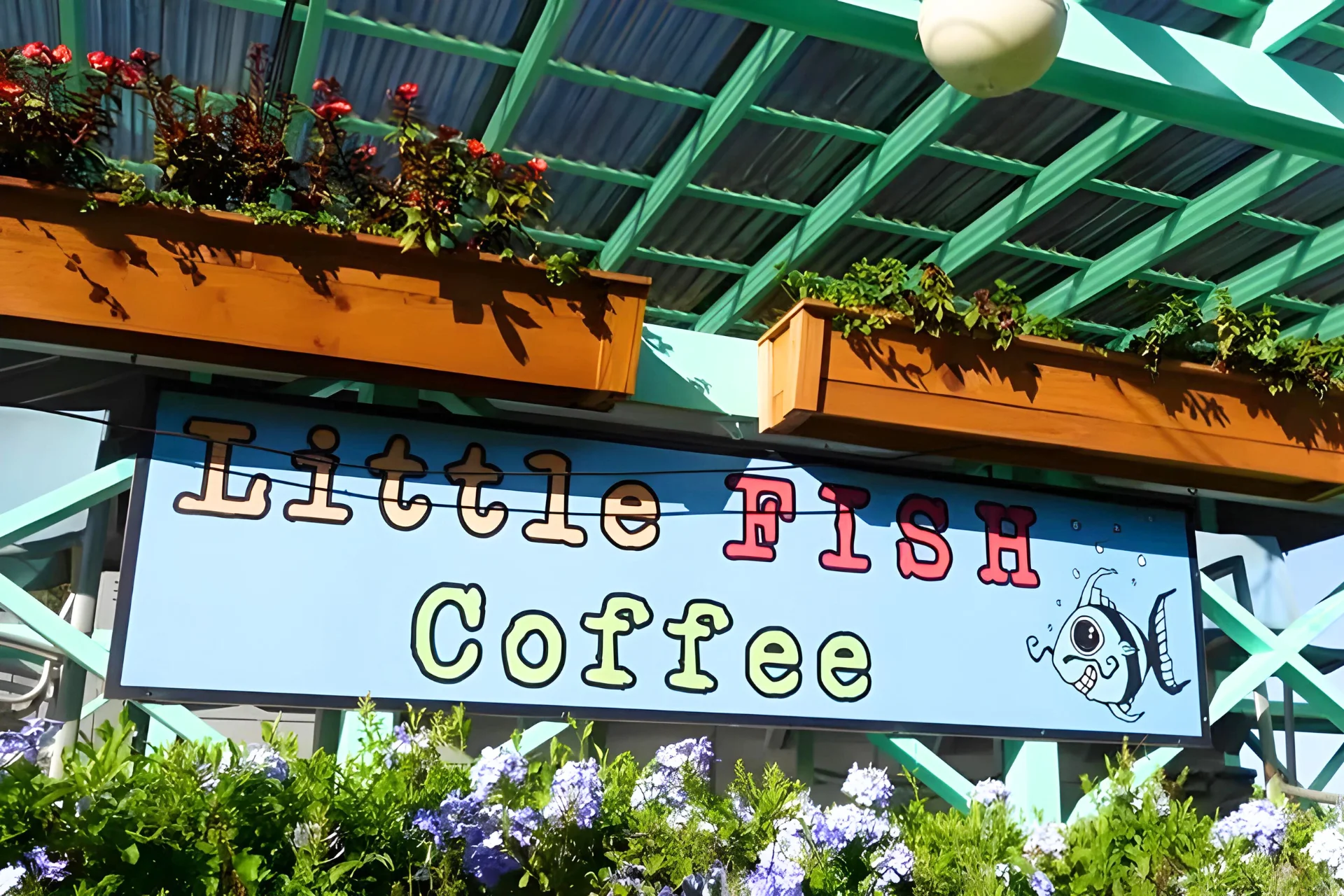 coffee in Hawaii served by the top Coffee Shops in Kauai % Little Fish Coffee Poipu
