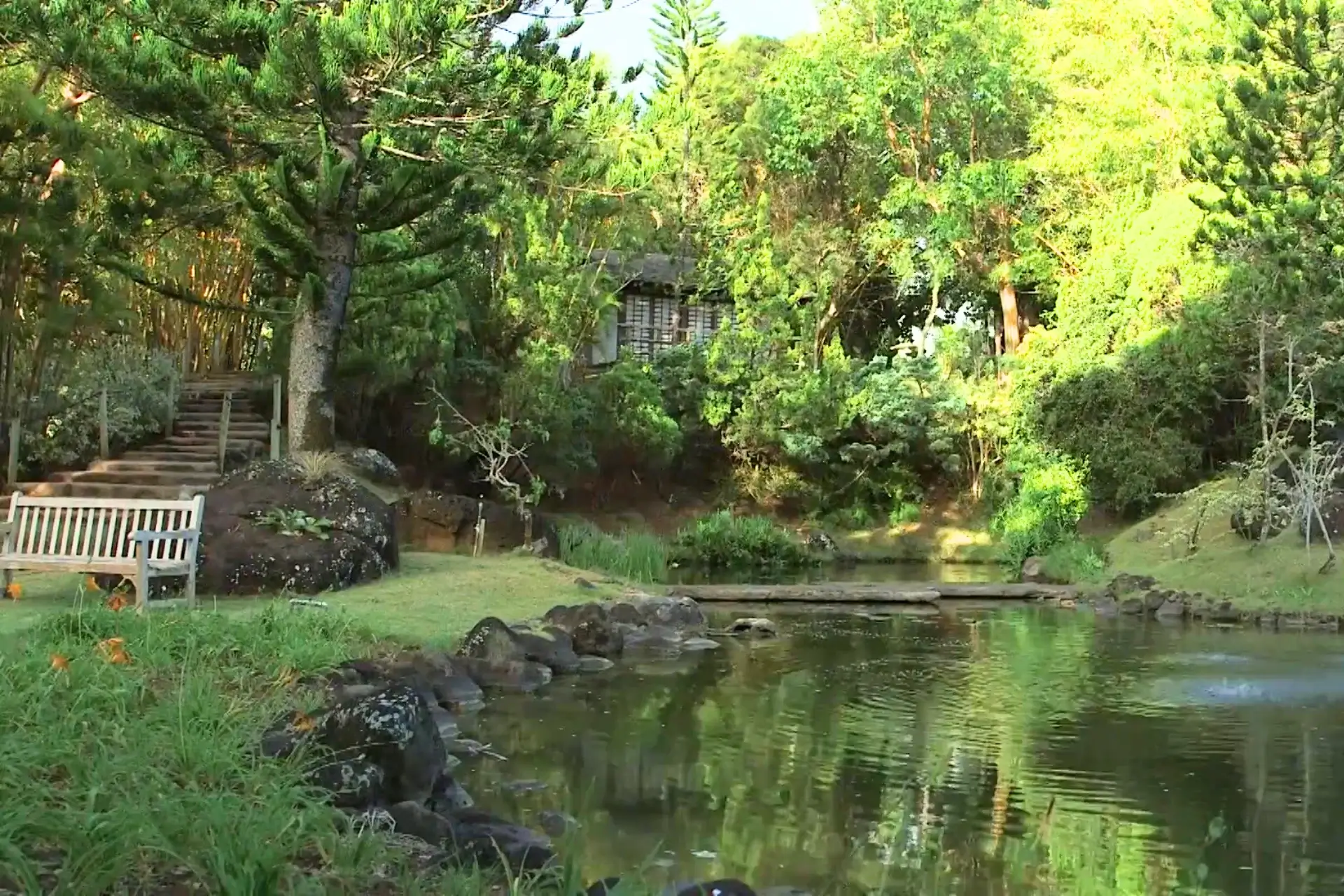 7 The Best Kauai Botanical Gardens With Wonderful Tours % Na Aina Kai Botanical Garden Kauai