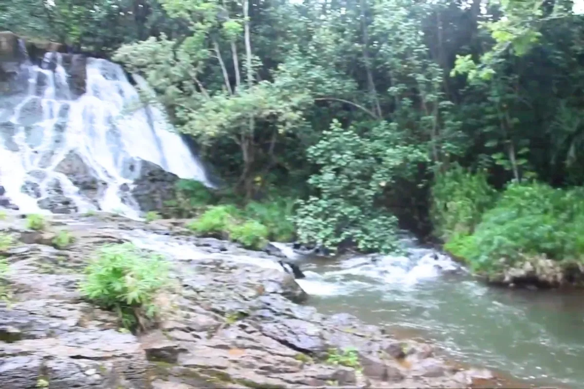 Kauai Jurassic Park: Top 7 Filming Locations to Visit in Kauai Hawaii % The Amber Mine at Hoopii Falls Kapaa East Kauai