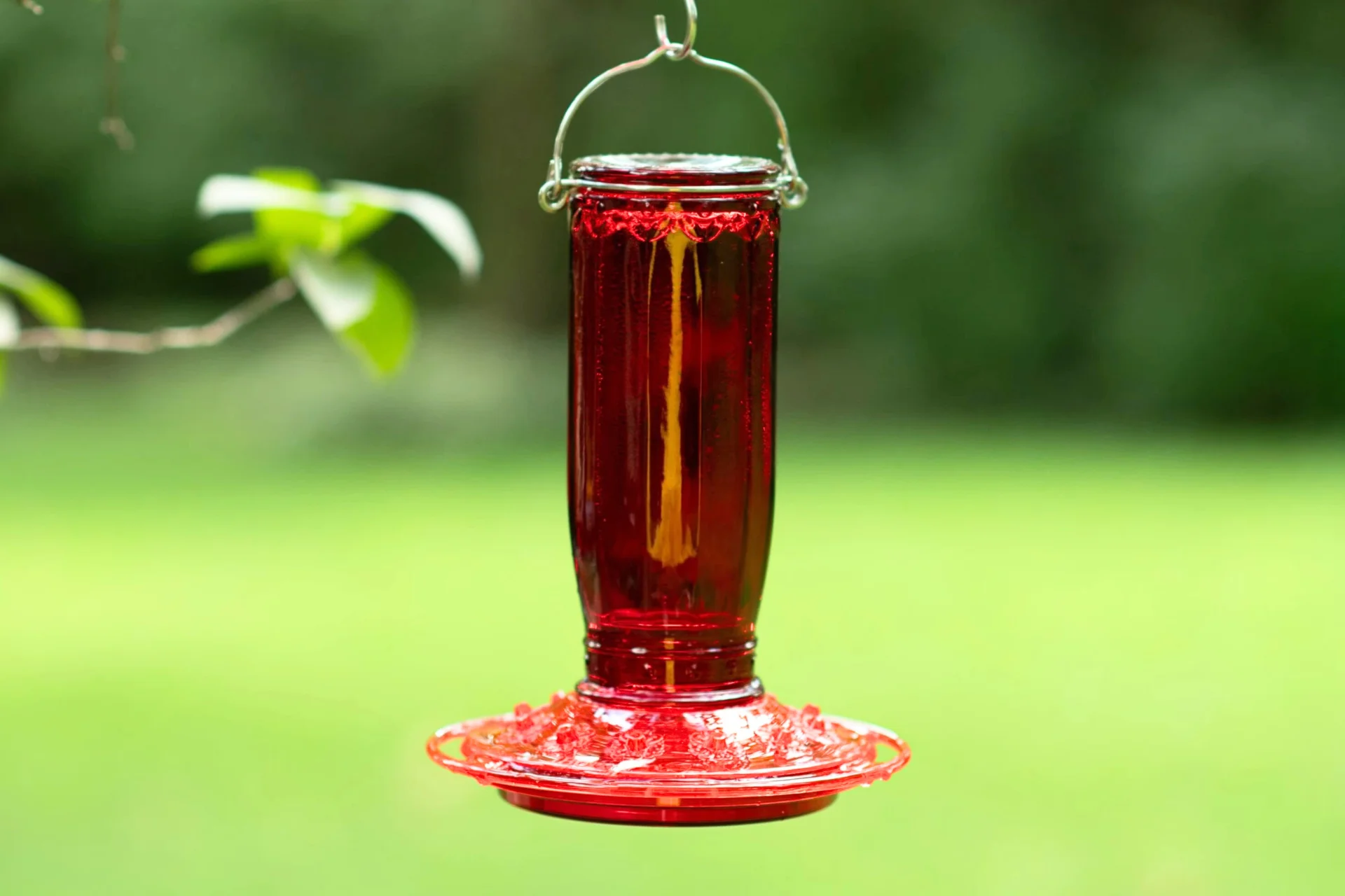 9 Tips How to keep ants out of hummingbird feeders % Another design of feeder