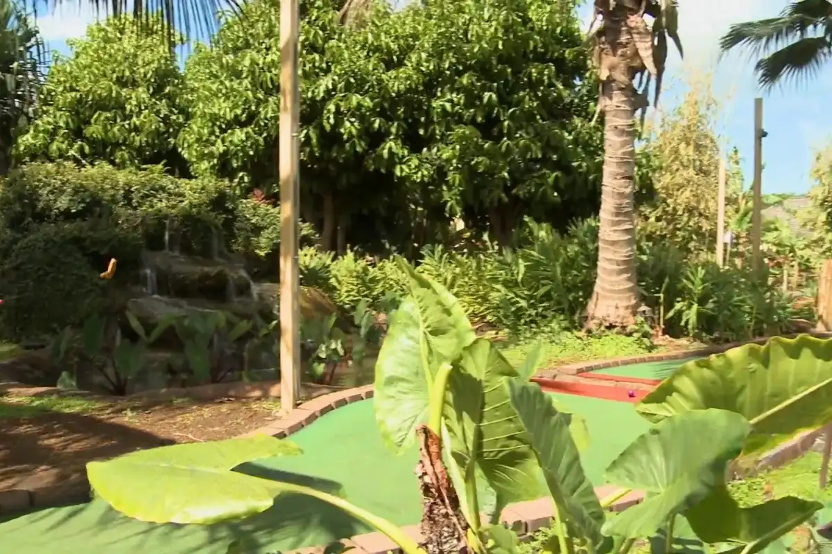 Discover Kauai Mini Golf at Anaina Hou Park, where fun meets nature % Beautiful green environment at botanical garden at Kauai