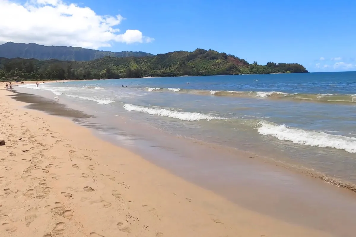 Hanalei Beach Kauai | Hawaiian Tropical Gem % Goldens sand on Hanalei beach