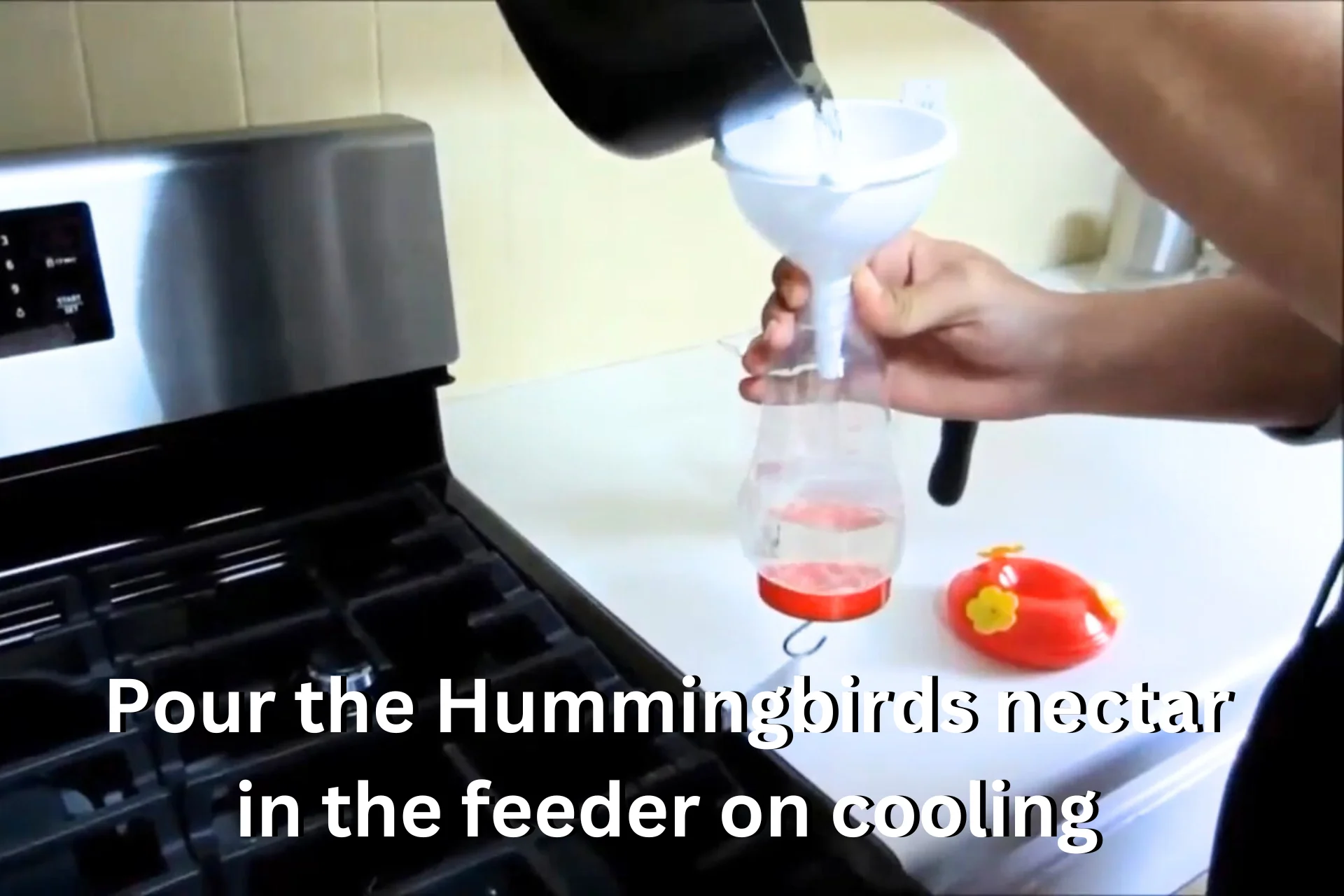 How to Make Hummingbird Nectar like in flower at Home % Pour the best hummingbird nectar recipe