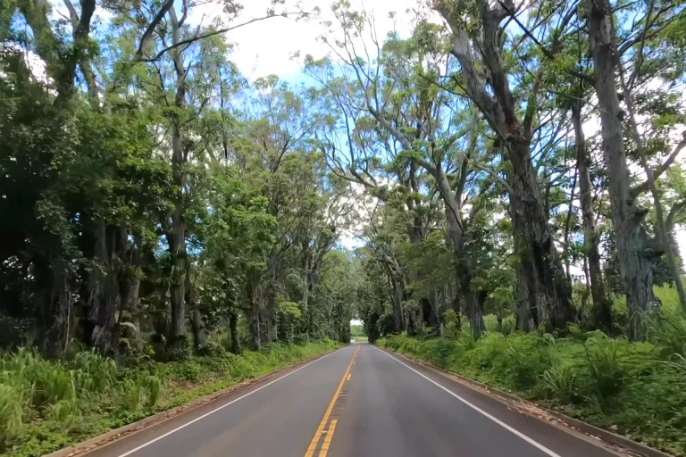 Kauai Hawaii