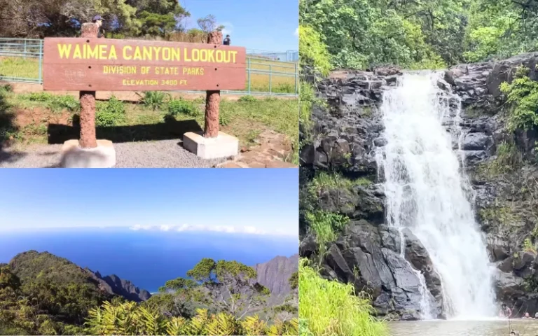 Beautiful Waimea canyon valley feature image