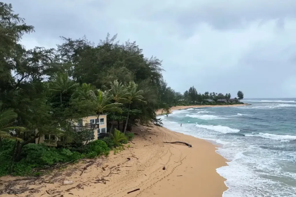 Wainiha Beach Park: A Hidden Gem on Kauai’s Untamed Coast % Beach view at Wainiha Beach Park Kauai Hawaii