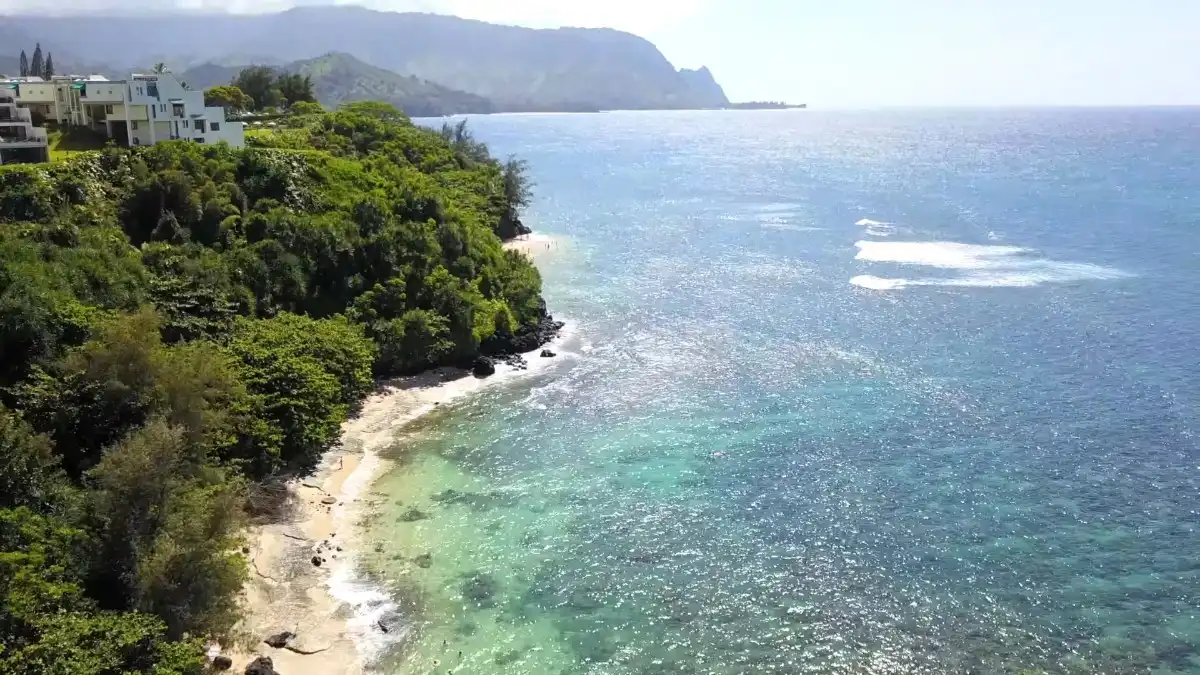 Tropical landscape illustrating Kauai vacation seasons