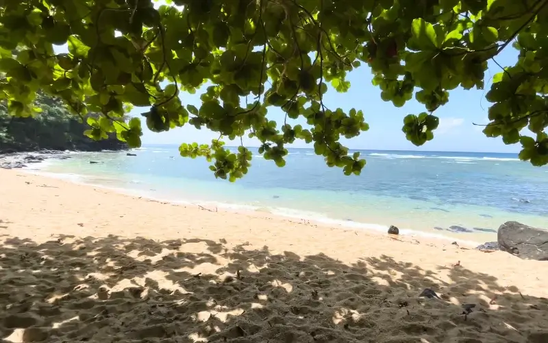 Sea Lode Beach Feature image
